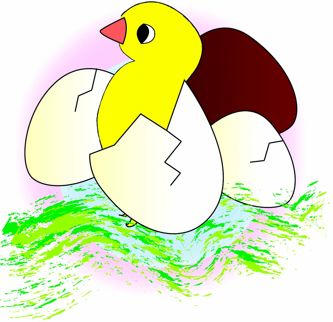 A chick hatching from an egg. 