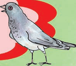 A bird who does Gutargoo! Gutargoo! 