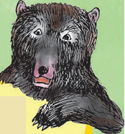 An animal who is seen in circus dancing and jumping through rings of fire. 