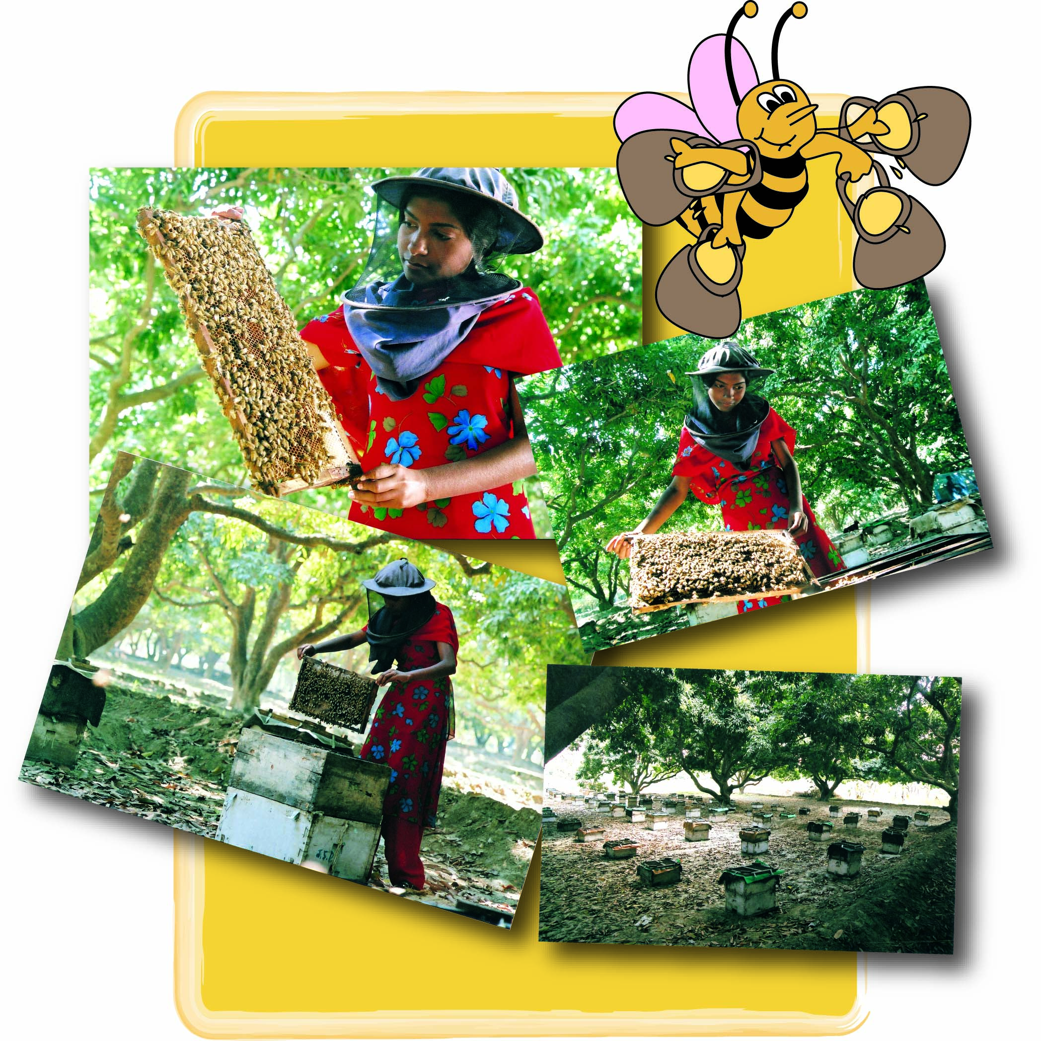 Collage of a lady who is bee-keeping.