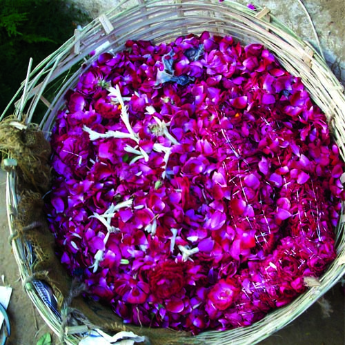 Rose petals in a basket.