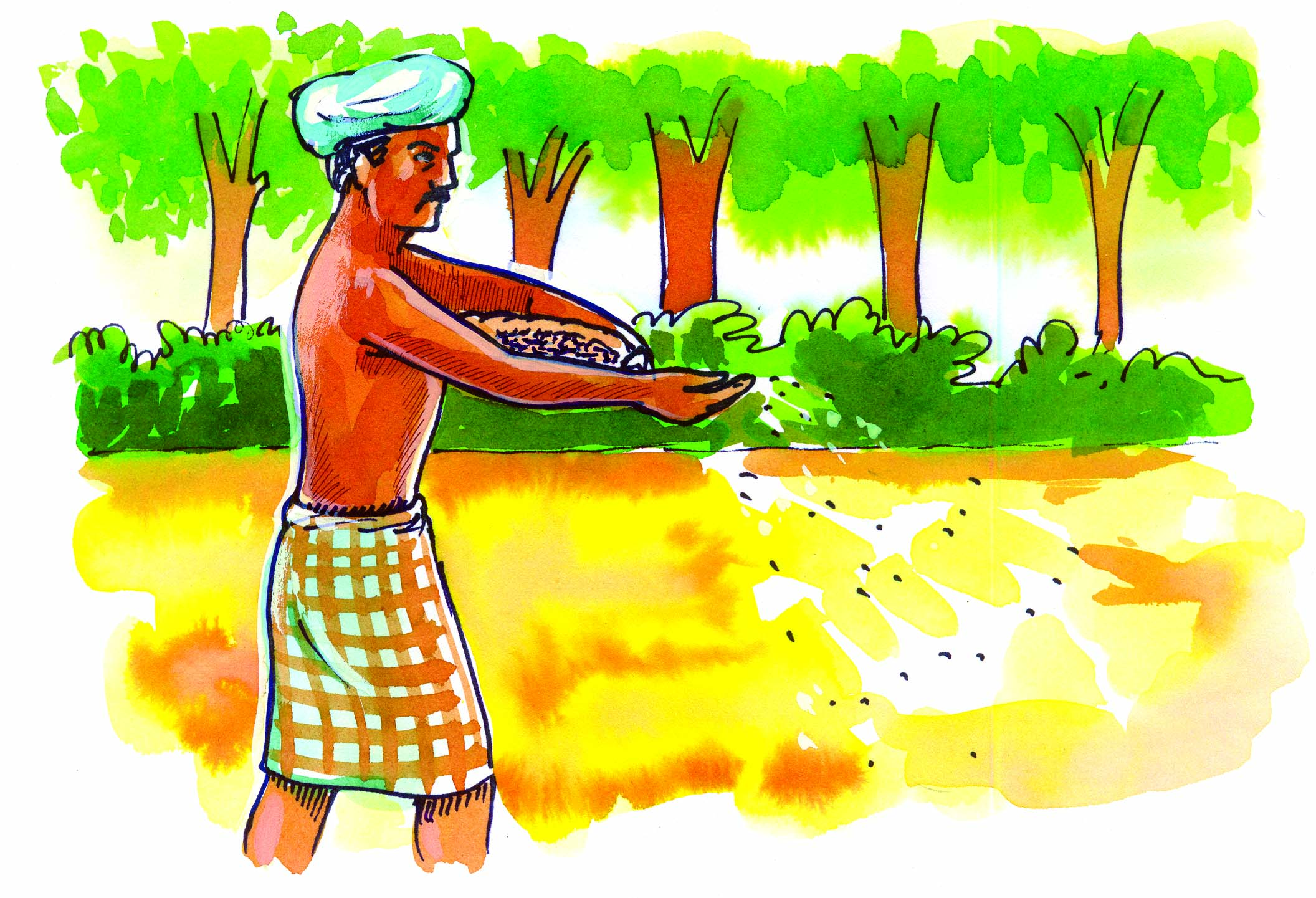 Farmer throwing seeds in the field.