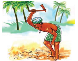 Farmer digging soil with a tool.