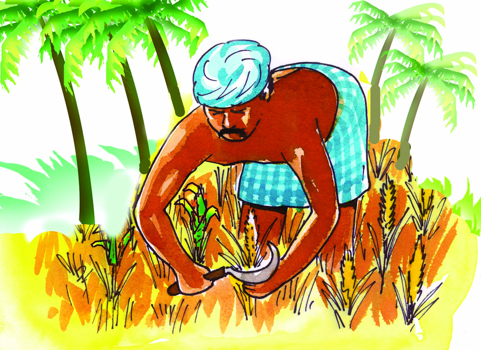 Farmer cutting crops with a knife.