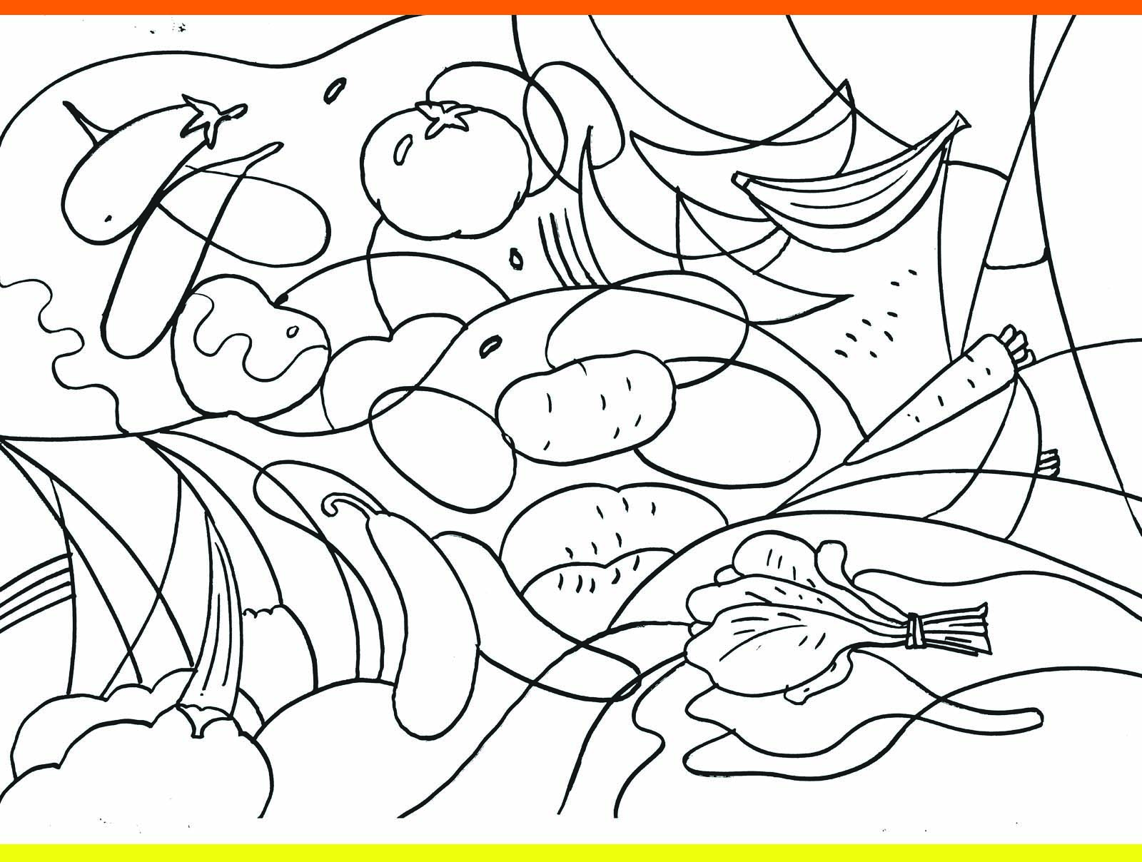 Different types of vegetables. 