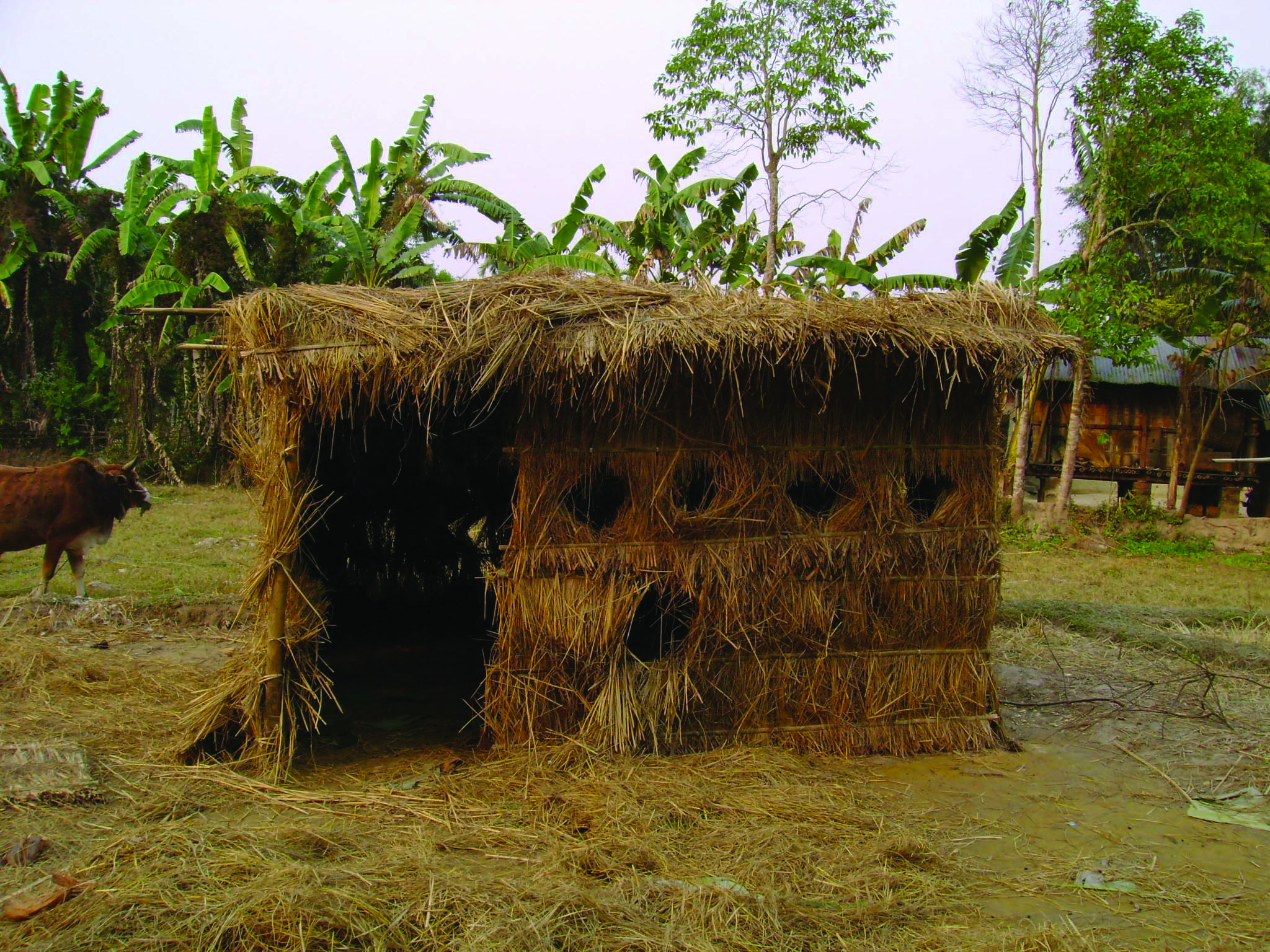 A Bhela ghar made up of bamboo and grass. 