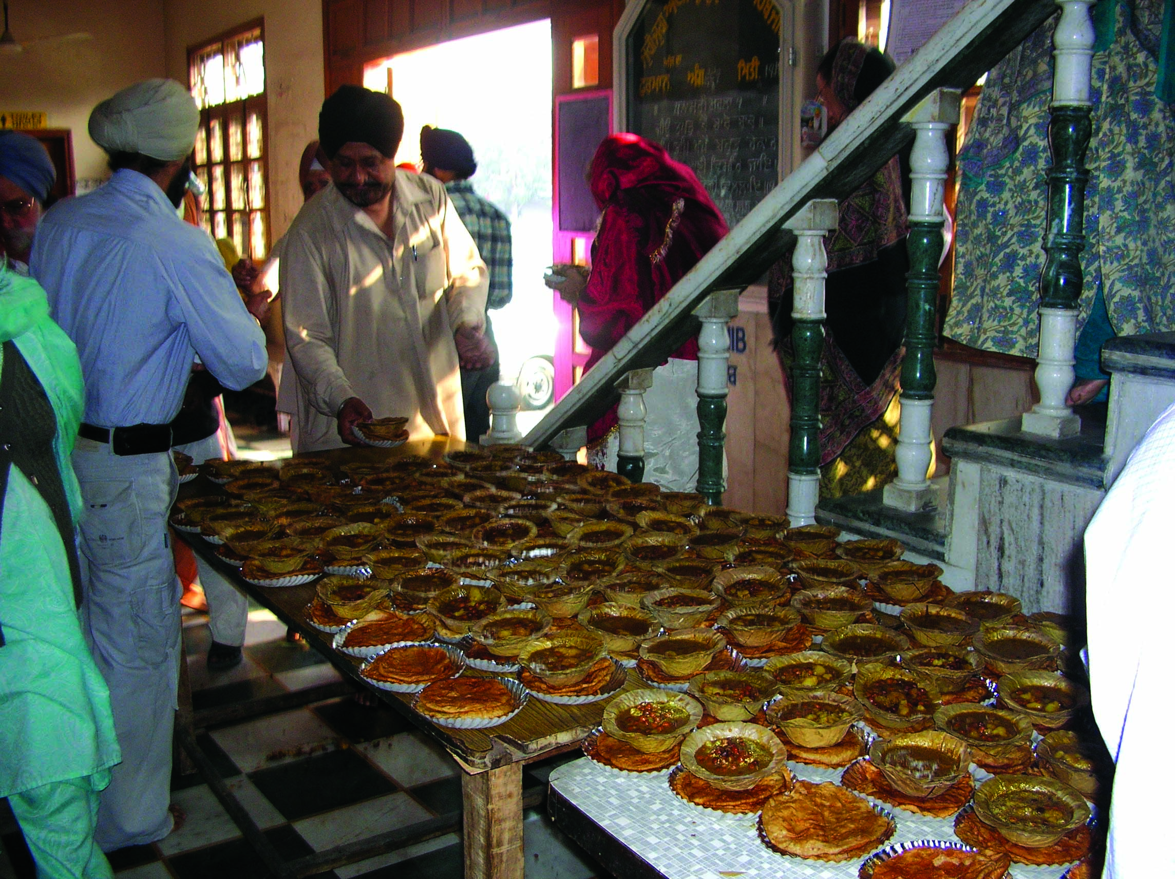 Food in many plates put on table. 