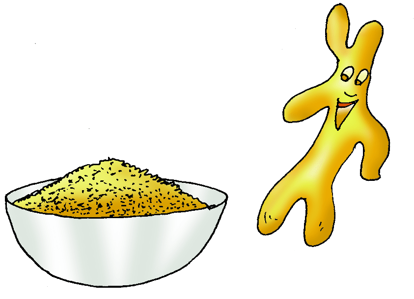 A spice used for healing wounds and making food yellow. 