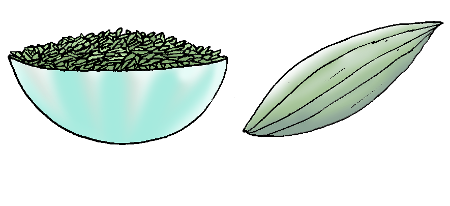 It can be used as mouth freshner and looks like zeera, but green in colour. 