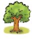 A Tree