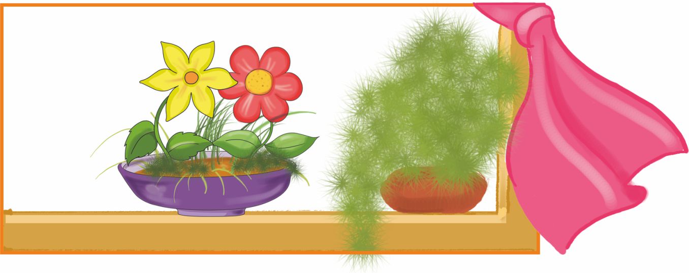 Flowers planted in a small dish 