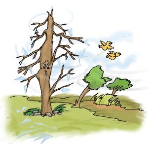 A tree standing with broken glass leaves and a sad face 