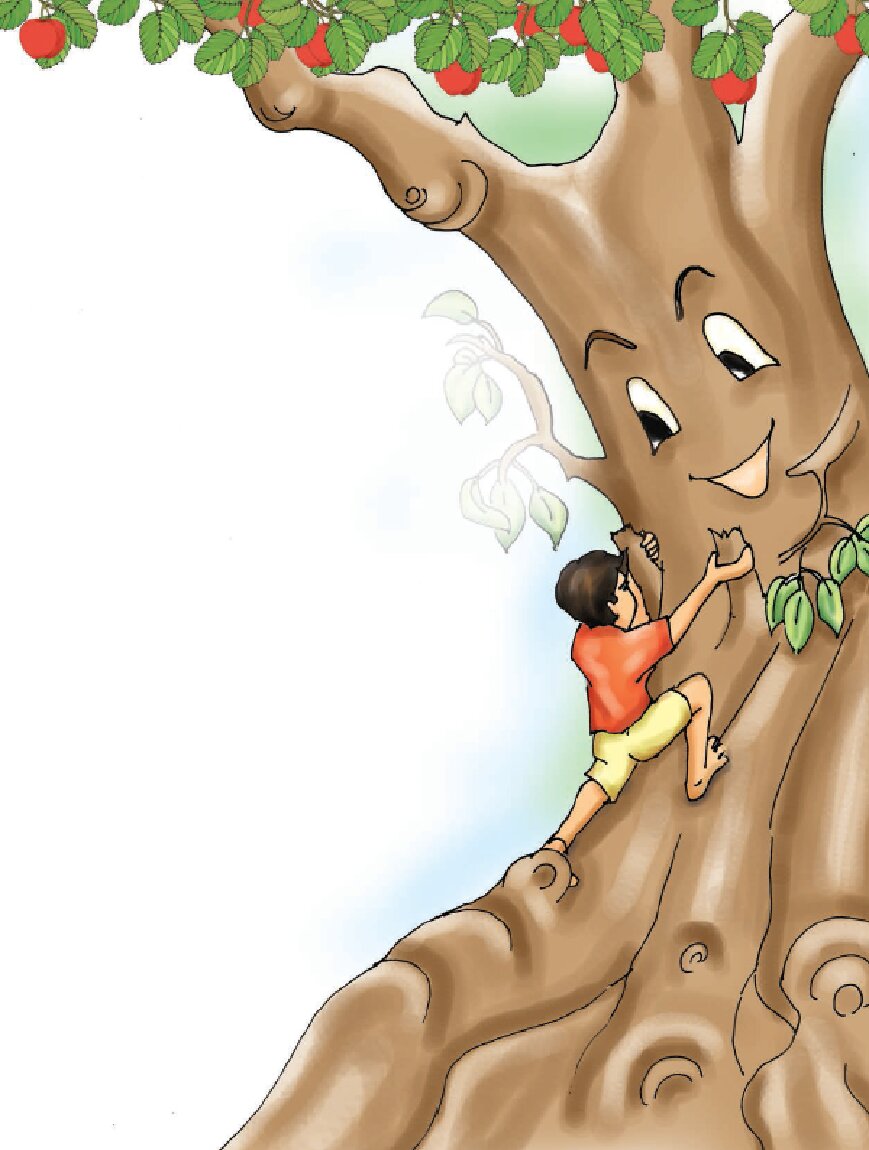 Boy climbing up a tree.