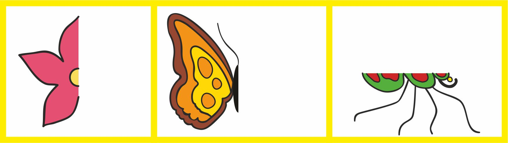 Half picture of a flower, butterfly and an insect is shown. 