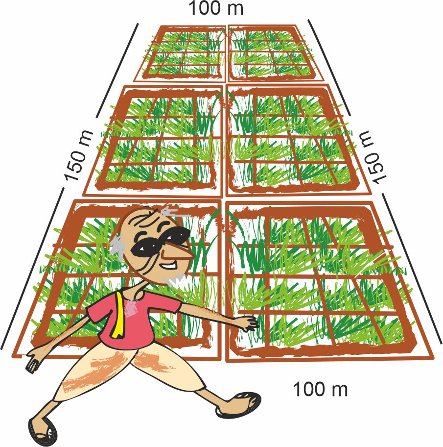 An old man walking along a rectangular field with length 150 m and breadth 100 m.  