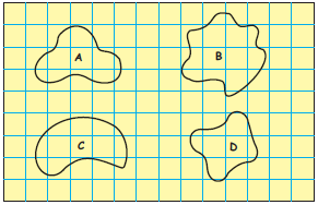 Four different shapes A, B,C, and D are given in a box made with small squares.