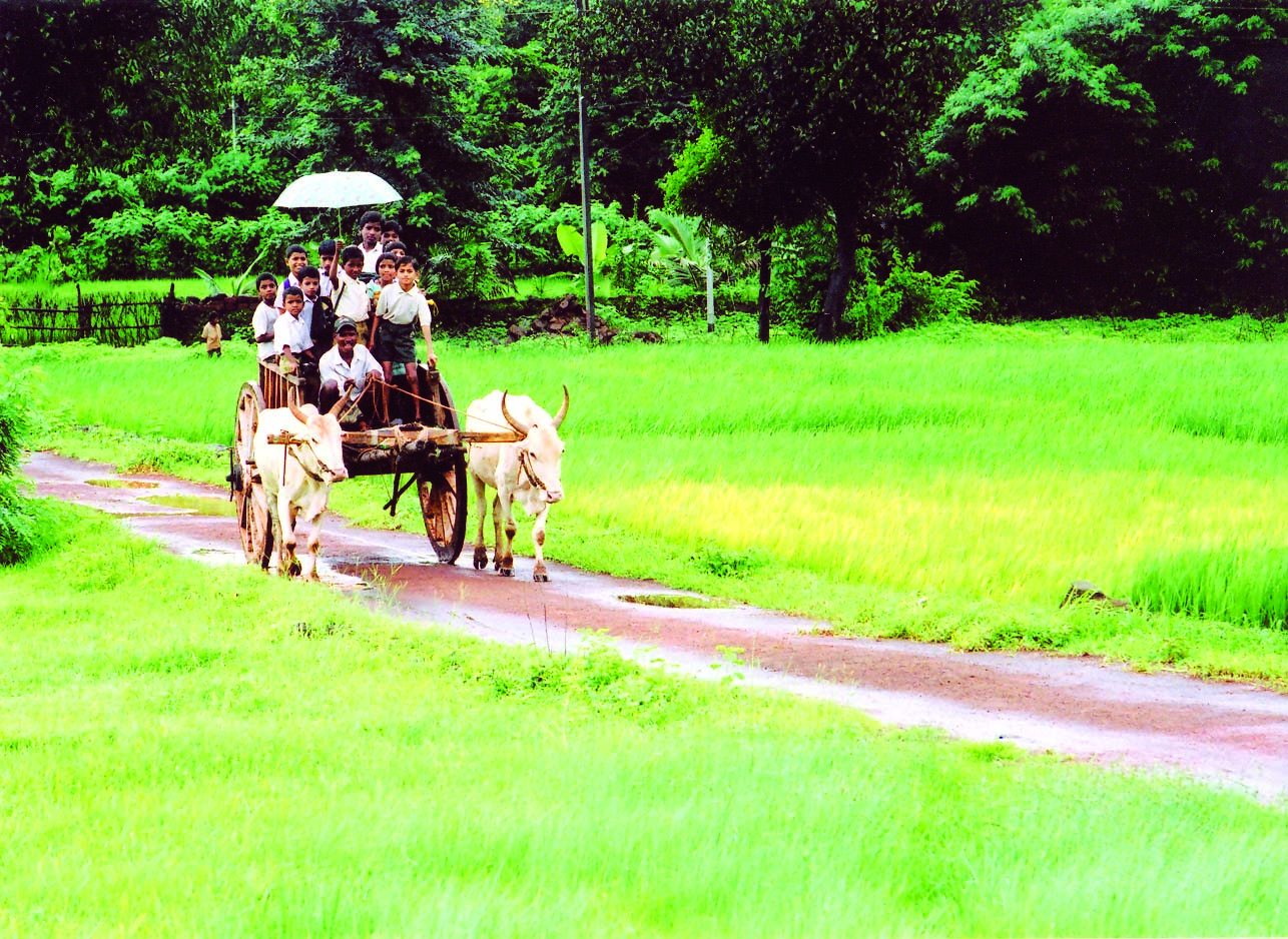 बच्चे बैलगाड़ी पर बैठे हैं 