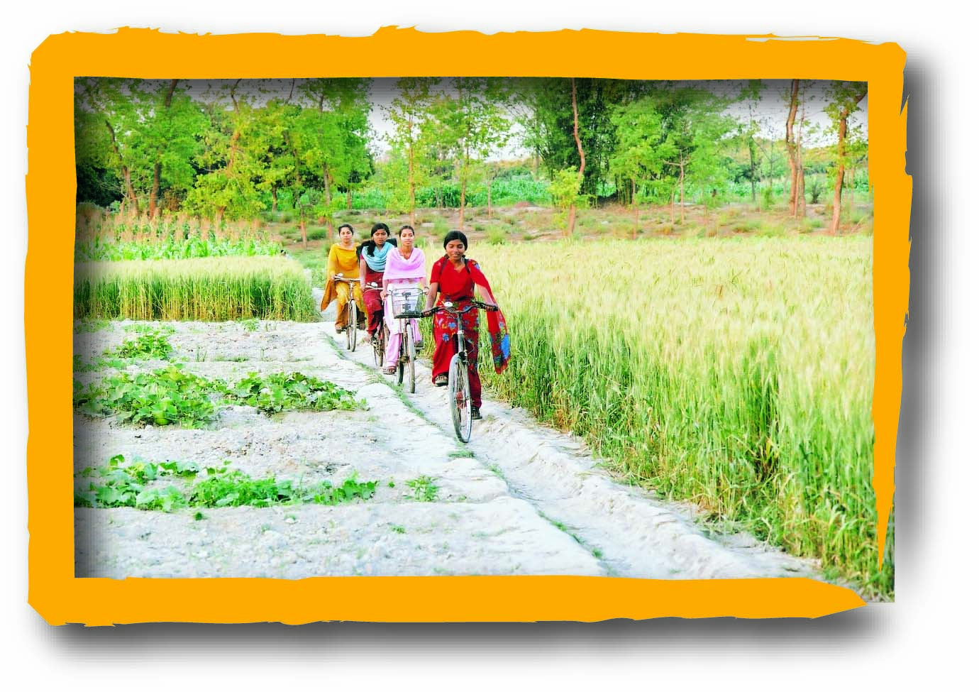 कुछ लड़कियां साइकिल चला रही हैं