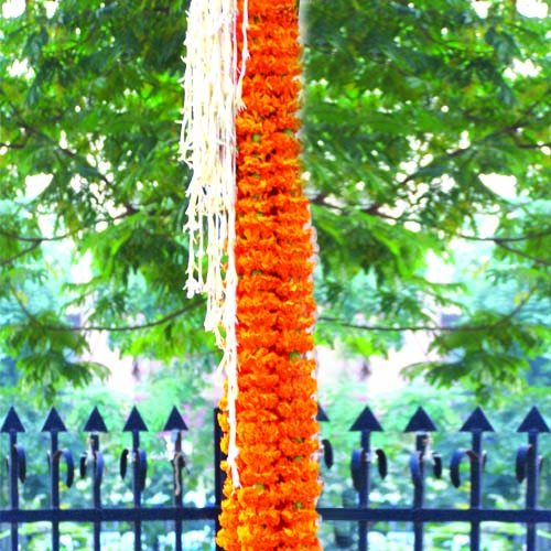 चित्र