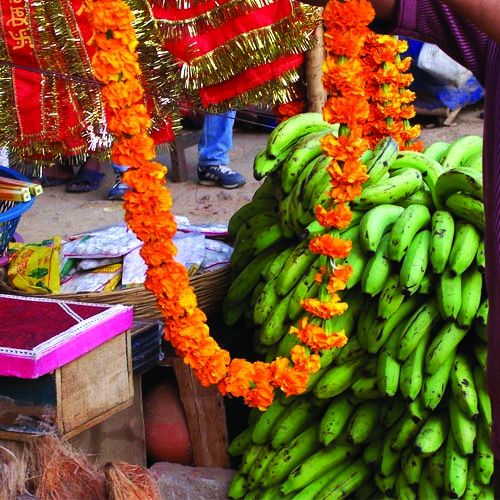 चित्र