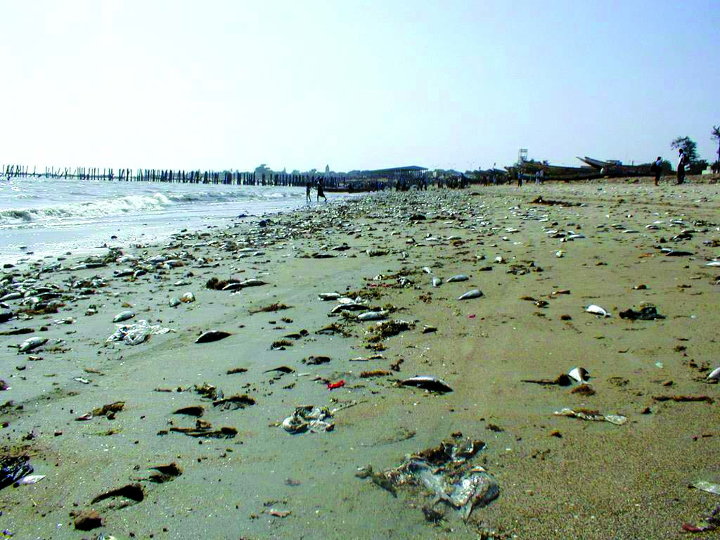 गंदगी से भरा समुद्र तट