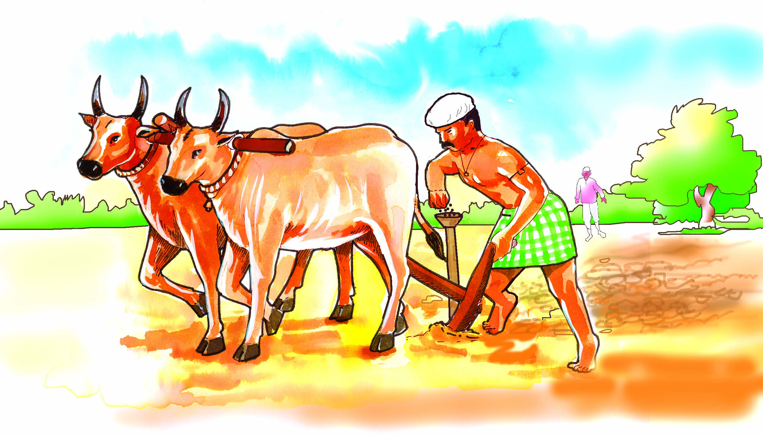 किसान बैल की मदद से खेती कर रहा है 