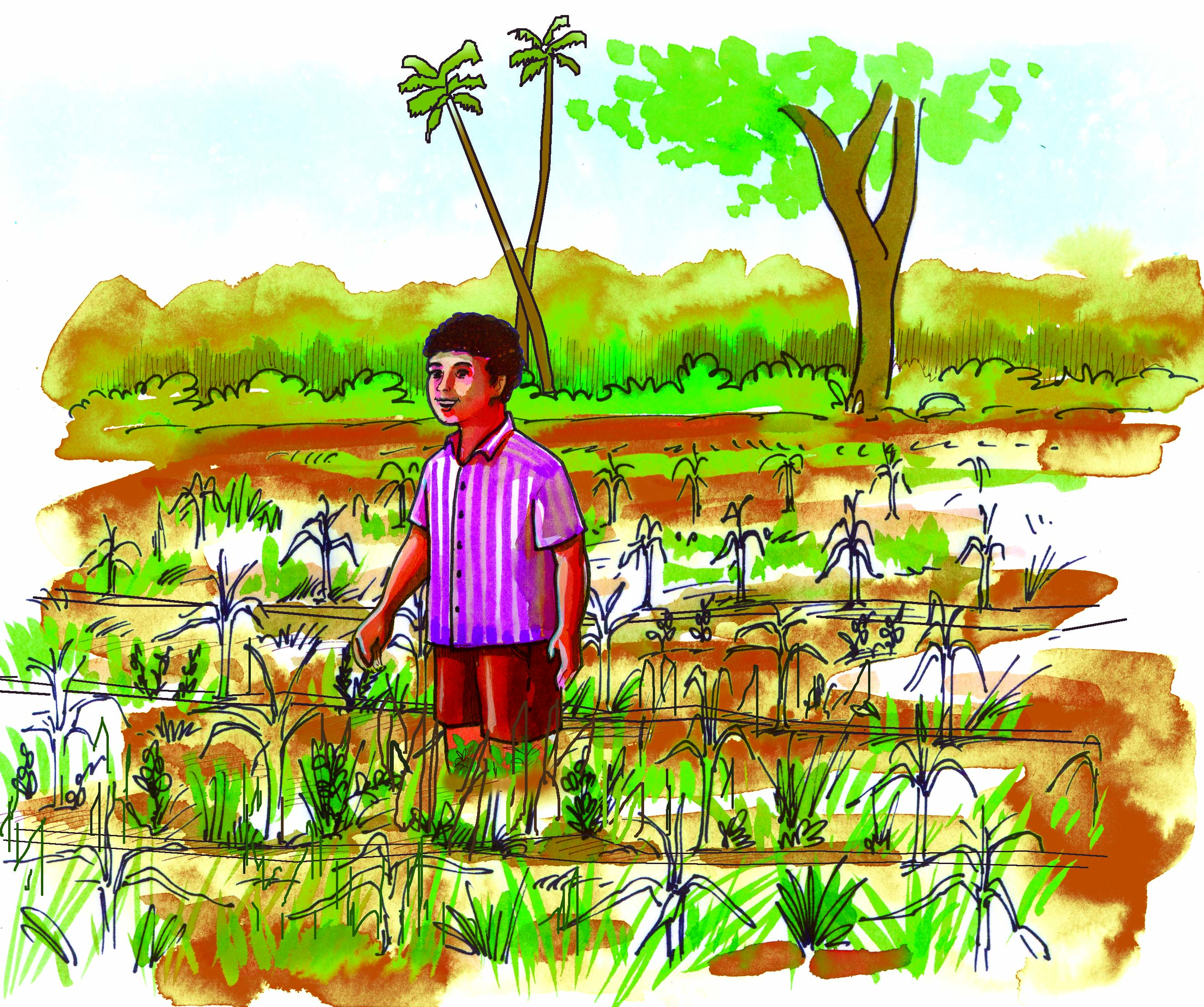 लड़का प्याज़ के खेत में खड़ा है