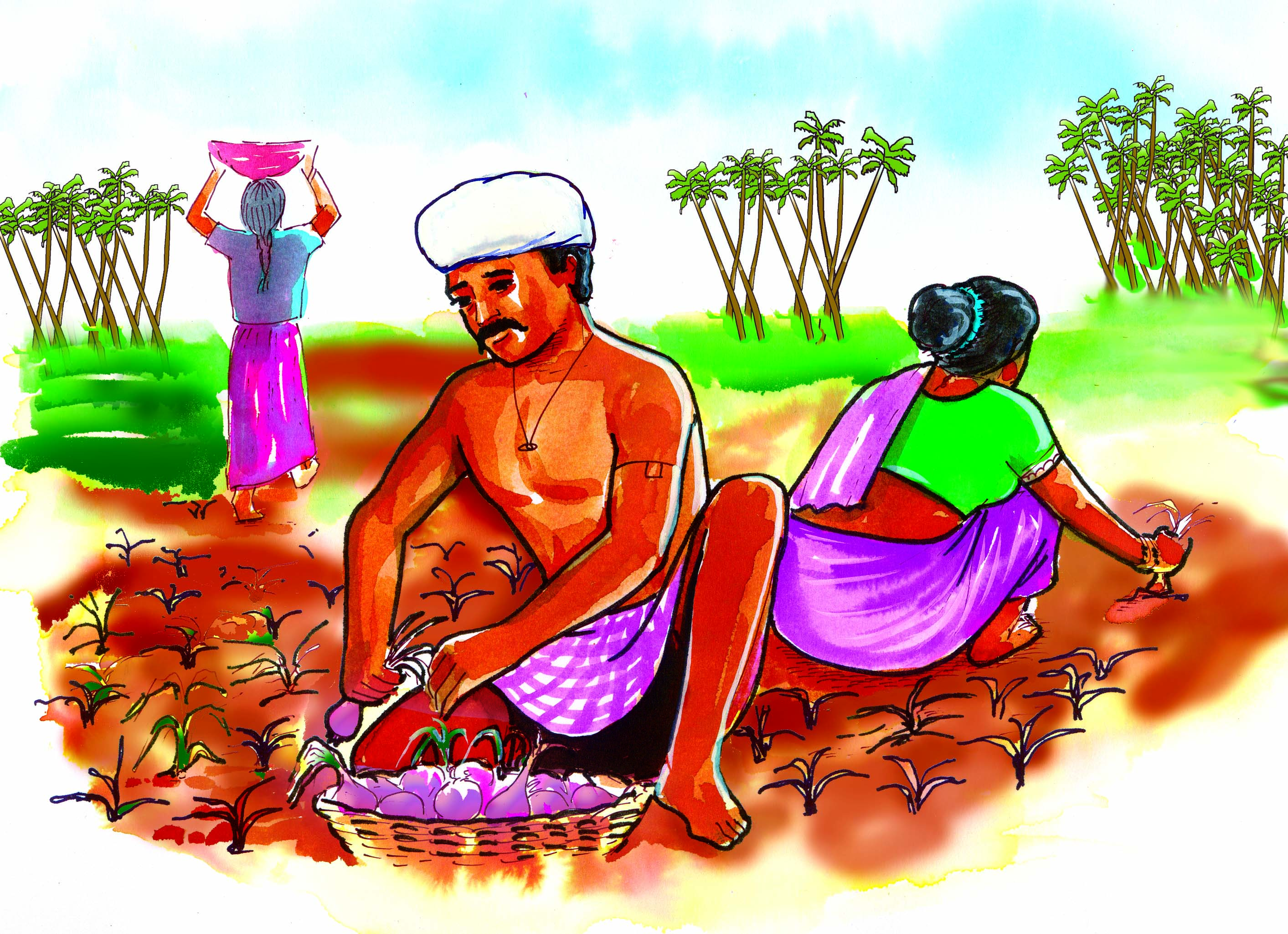 सब मिलकर प्याज़ के तैयार पौधों को जमीन से निकाल रहे हैं 