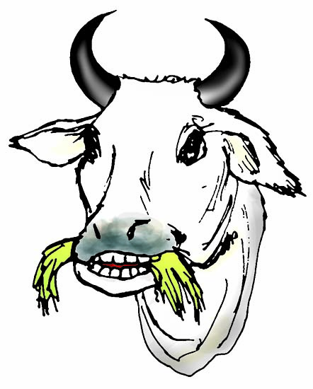 गाय का चित्र
