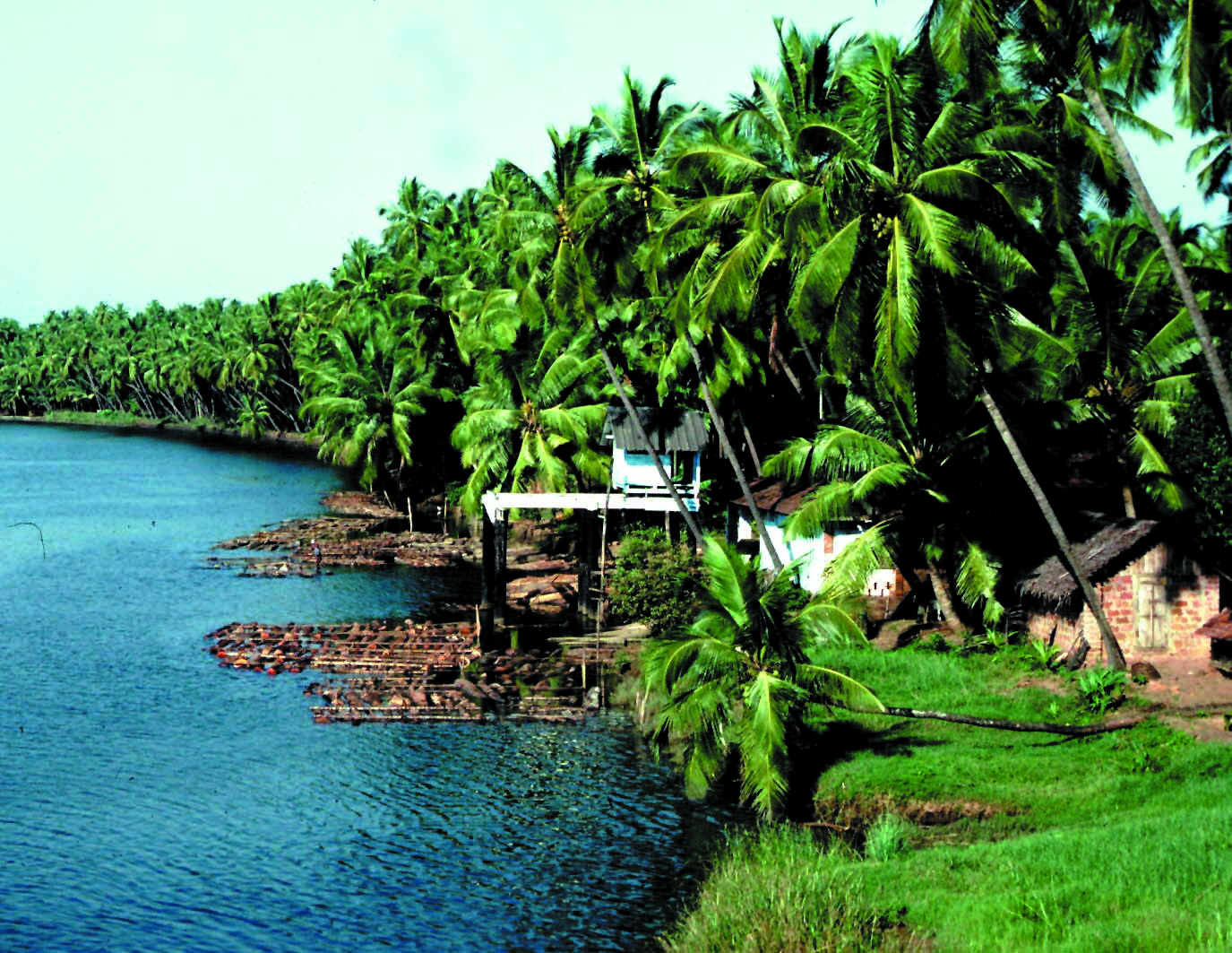 समुद्र के किनारे का चित्र