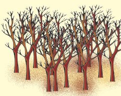 सूखे हुए पेड़