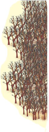 बहुत सारे सूखे हुए पेड़