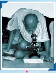 गांधी जी माइक्रस्कोप में कुछ देख रहे हैं