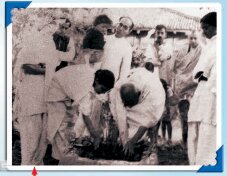 गांधी जी कुछ लोगों के साथ मिलकर पौधा लगा रहे हैं
