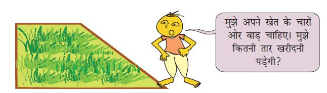 किसान अपना खेत देख रहा है।  