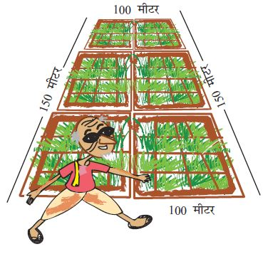 बूढ़ा आदमी खेत के चक्कर लगा रहा है और खेत की लंबाई 150 मीटर और चौड़ाई 100 मीटर है।  