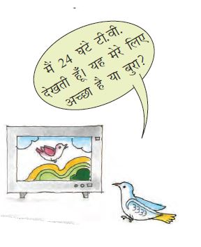 कबूतर टी. वी. देख रहा है।