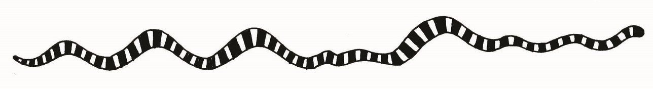 A type of snake design. 