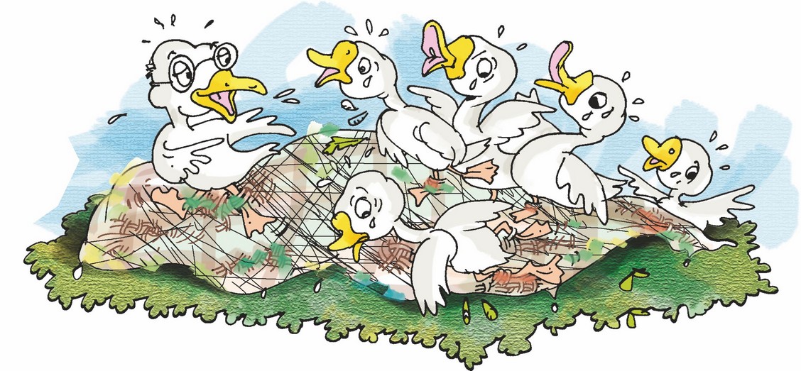 The geese sitting on the tree are talking to each other.