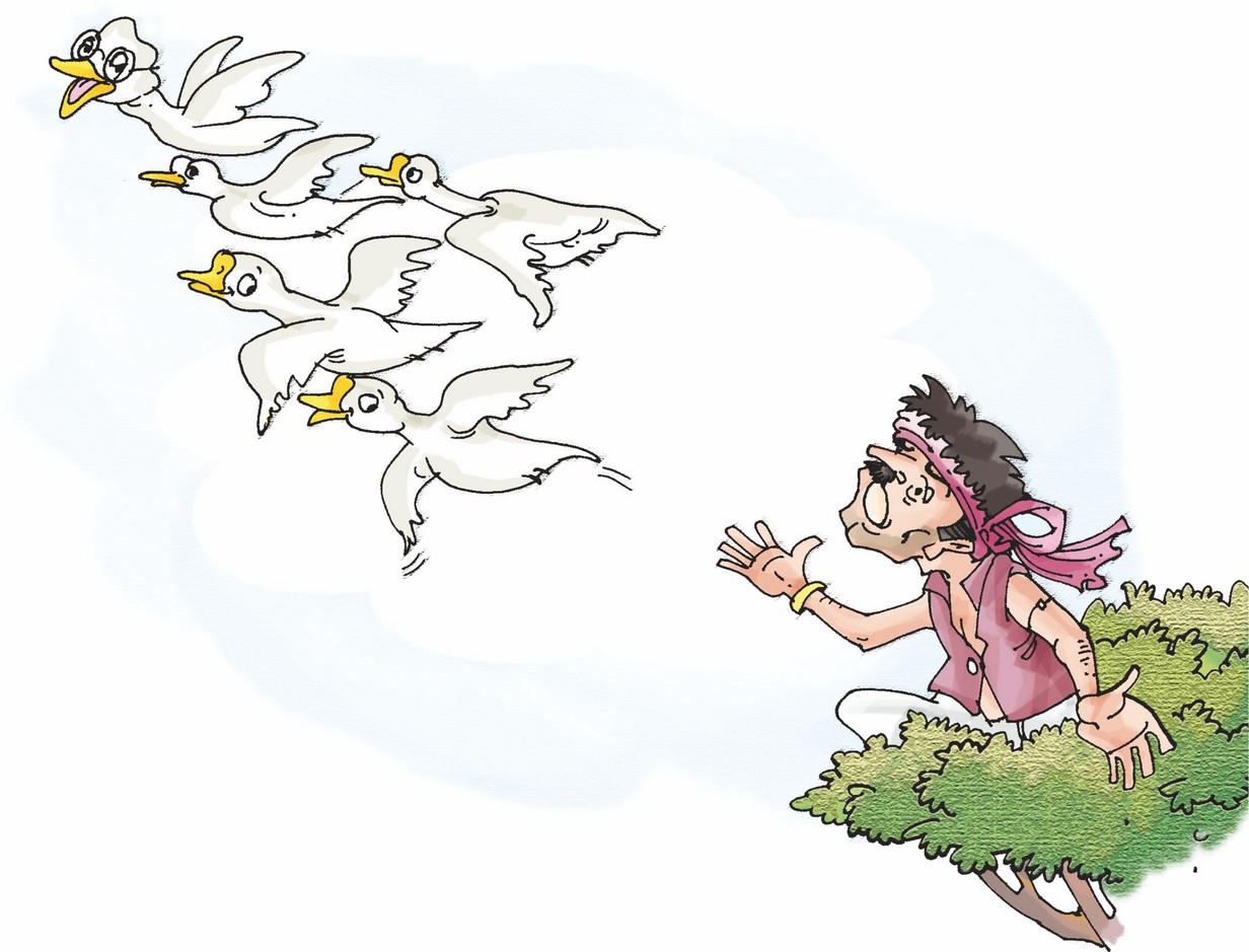 The geese are flying far and the man is running to catch them.