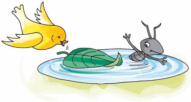 A dove bird is keeping leaf of a tree in the pond near the ant.