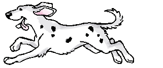 A dog is running.