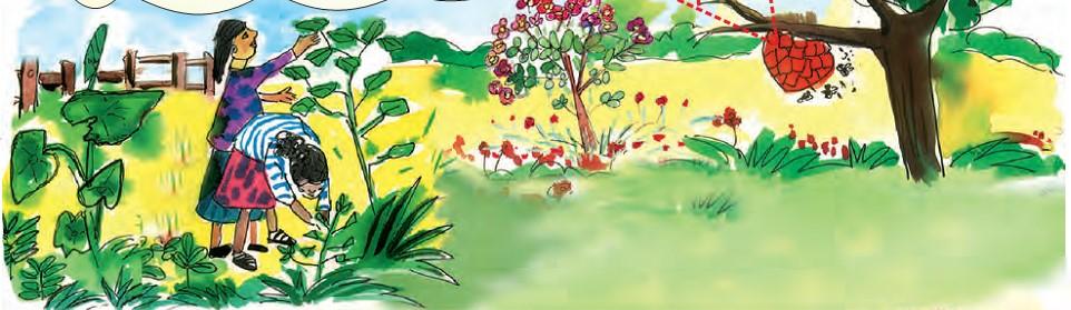 In a garden, there is a beehive on the tree and there are a lot of flowers near the tree. Two girls are collecting leaves from plants in the garden.  An angle is formed between the sun and flower.