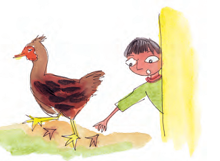 A boy looking at the footprints of a hen.
