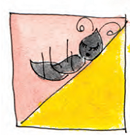A square is divided into two parts by a slanting line in the middle and an ant is sleeping on that line.