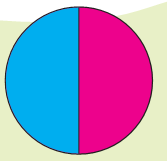 A circle divided into two parts.