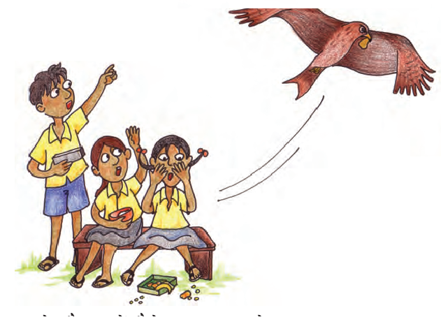 दो लड़के और एक लड़की अपने टिफिन बॉक्स से अपना खाना खा रहे थे और एक चील, एक बड़ी चोंच और चौड़े पंखों वाला पक्षी, अपनी चोंच से उनकी रोटी ले गया।