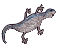 एक छिपकली दिखाया गया है।