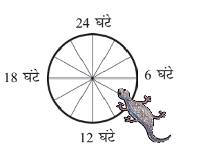 एक गोल आकार की घड़ी चौबीस भागों में विभाजित होती है और छह घंटे, बारह घंटे, अठारह घंटे और चौबीस घंटे पर चिह्नित होती है। छह और  बारह घंटे के बीच एक छिपकली बनी  है।