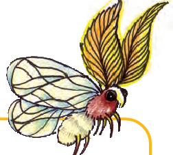 एक रेशम का कीड़ा ।